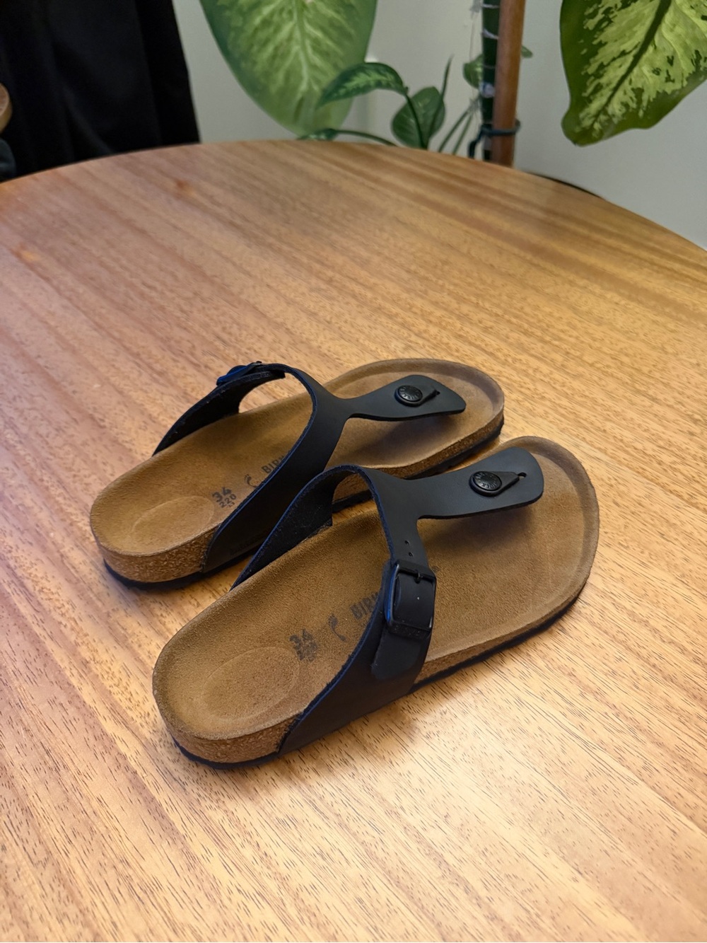 Birkenstock Sandals